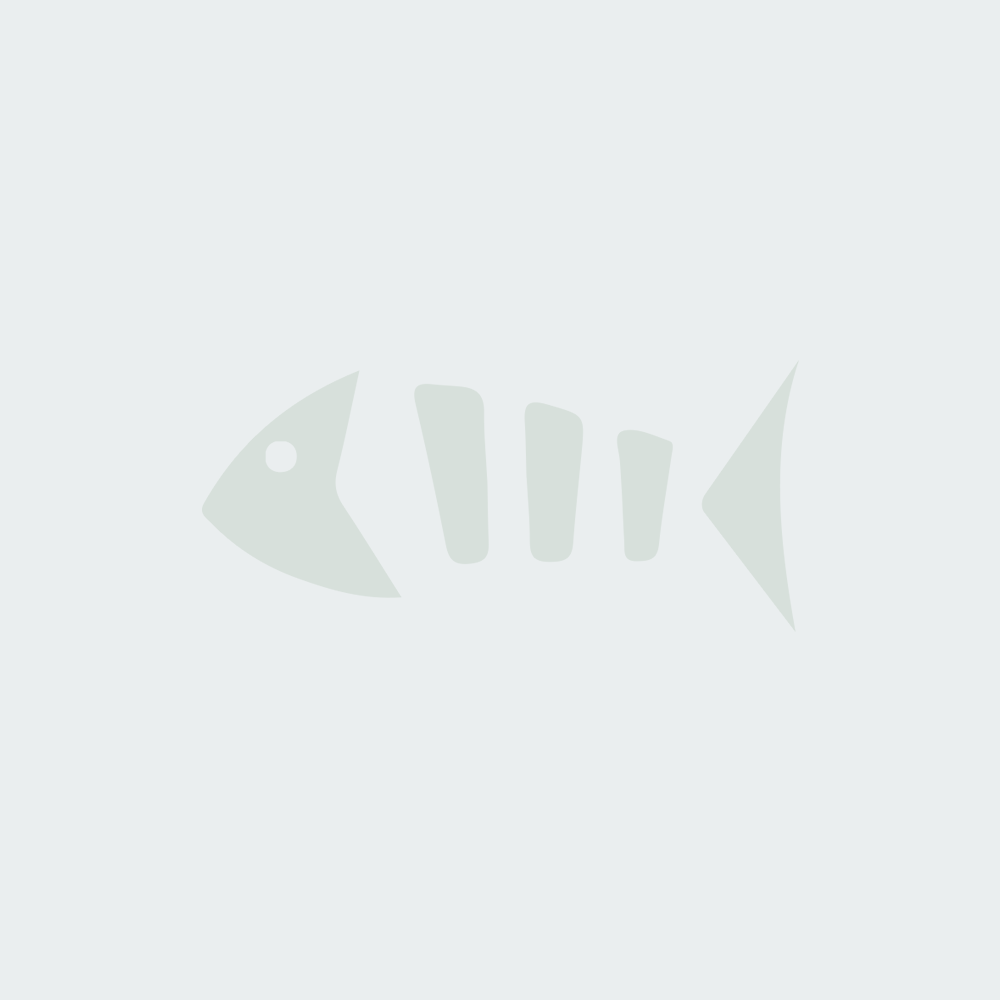 CHIP 10MM GF 10KG #123.003 MYDIBEL
